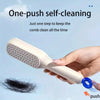 Self-Cleaning Hair Brush - Glasty.store
